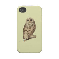 Vintage owl plate painting print iphone 4 tough covers