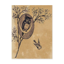 Vintage Owl Postcard