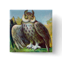 Vintage Owl Print Pin