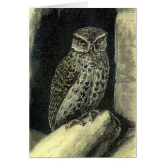 Vintage Owl Print Greeting Card