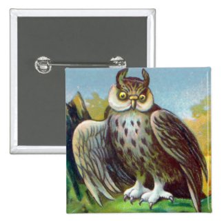 Vintage Owl Print Pin
