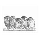 Vintage Owls Post Cards
