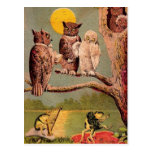 Vintage Owls Post Cards