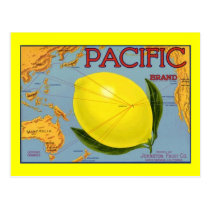 Vintage Pacific Brand Lemons Map Chart Postcards postcards