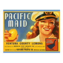 Vintage Pacific Maid Lemons Sailor Gal Postcards postcards