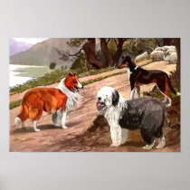 Vintage Painted Collies Canvas Print