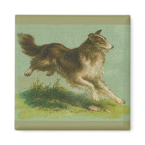 Vintage Painting Collie Magnet by orglioness Vintage Painting Collie Magnet