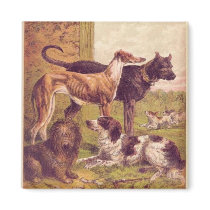 Vintage Painting of Dog Group Magnet