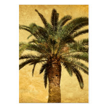 Vintage Palm Tree - Tropical Customized Template Business Card Templates