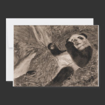 Vintage Panda Play Invitation