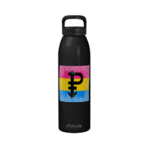 Vintage Pansexual Flag Drinking Bottles