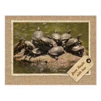 Vintage Paper Frame Travel Tag Turtles Rock Japan Post Cards