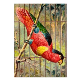 Vintage Parakeet Print Business Cards