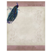 Vintage Parchment Peacock Letterhead Resume Paper Personalized Flyer