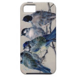 Vintage Paris Bluebirds Case iPhone 5 Cover