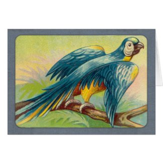 Vintage Parrot Print Greeting Cards
