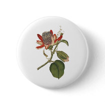 Vintage Passion Flower Button