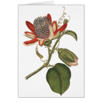 Vintage Passion Flower cards by samack Vintage Passion Flower cards