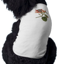 Vintage Passion Flower pet clothing by samack Vintage Passion Flower pet clothing
