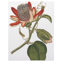 Vintage Passion Flower Personalized Letterhead