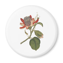Vintage Passion Flower Magnet
