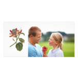 Vintage Passion Flower Photo Greeting Card