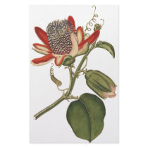 Vintage Passion Flower Custom Stationery