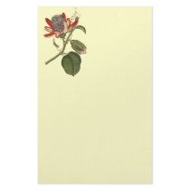 Vintage Passion Flower stationery by samack Vintage Passion Flower stationery