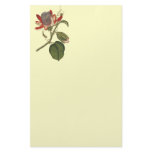 Vintage Passion Flower Personalized Stationery