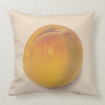 Vintage Peach American MoJo Pillows