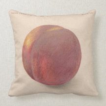 Vintage Peach American MoJo Pillows