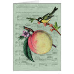 Vintage Peach and Bird Cards