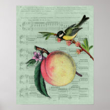 Vintage Peach and Bird Poster