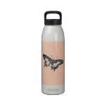 Vintage Peach Butterfly Illustration - Butterflies Drinking Bottles