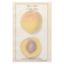 Vintage Peaches Stationery