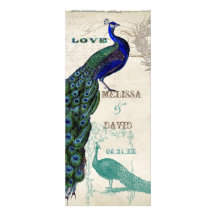 Vintage Peacock 5 - Formal Wedding Invitation