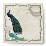 Vintage Peacock 5 - Matching Wedding Envelopes