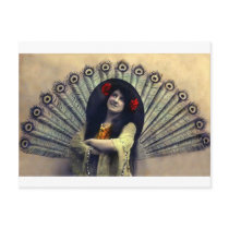 Vintage *Peacock Beauty* postcards