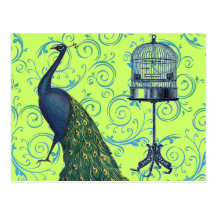 Vintage Peacock & Cage Post Card