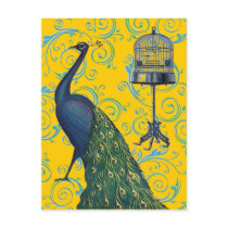 Vintage Peacock & Cage Post Cards