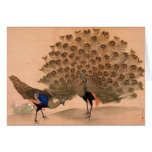 Vintage Peacock Cards