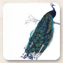 Vintage Peacock Coasters