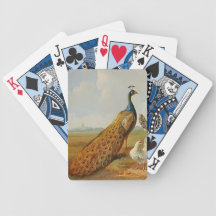 Vintage Peacock Deck Of Cards