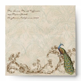 Vintage Peacock & Etchings, Wedding Envelopes envelope