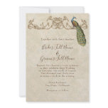 Vintage Peacock &amp; Etchings Wedding Invitation