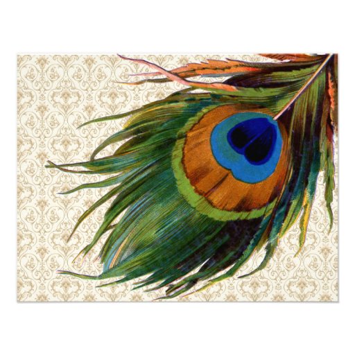 Vintage Peacock Feathers Bridal Tea Custom Announcements