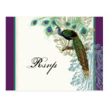 Vintage Peacock, Feathers - RSVP Response Postcard