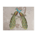 Vintage Peacock Grunge Damask Love Birds Post Card
