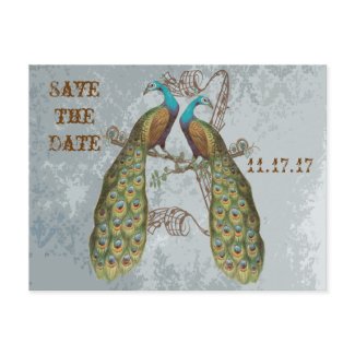 Vintage Peacock Grunge Damask on Grey postcard