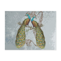 Vintage Peacock Grunge Damask on Silver Post Card